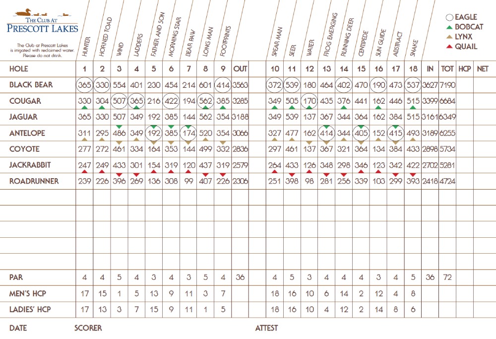 Scorecard Image