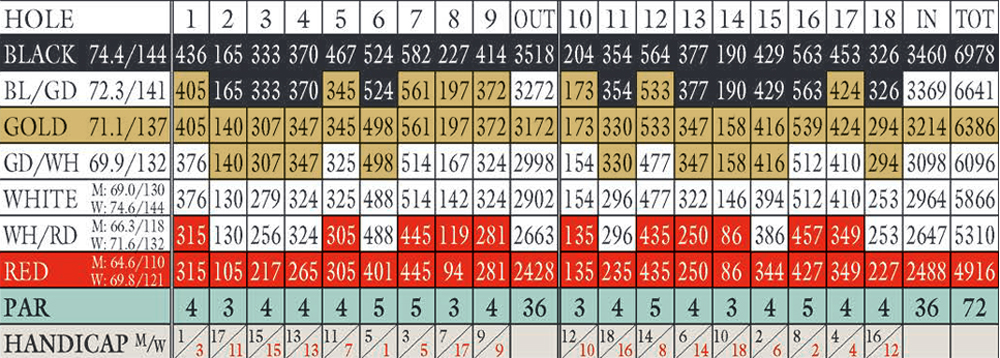 Scorecard Image