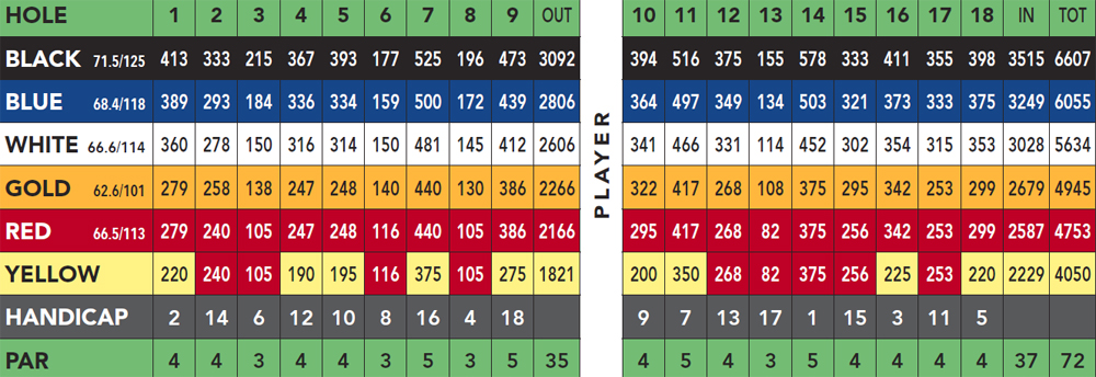 Scorecard Image