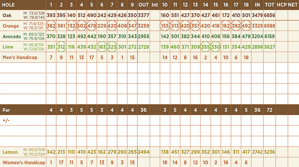 Scorecard Image